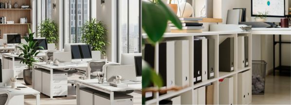 Tidy, well-lit workspaces with desks, plants, monitors, files and shelves